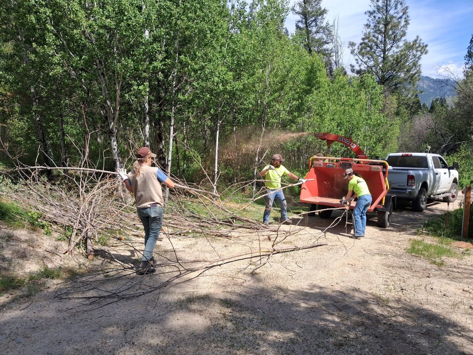 Clearing fuels, branch by branch.