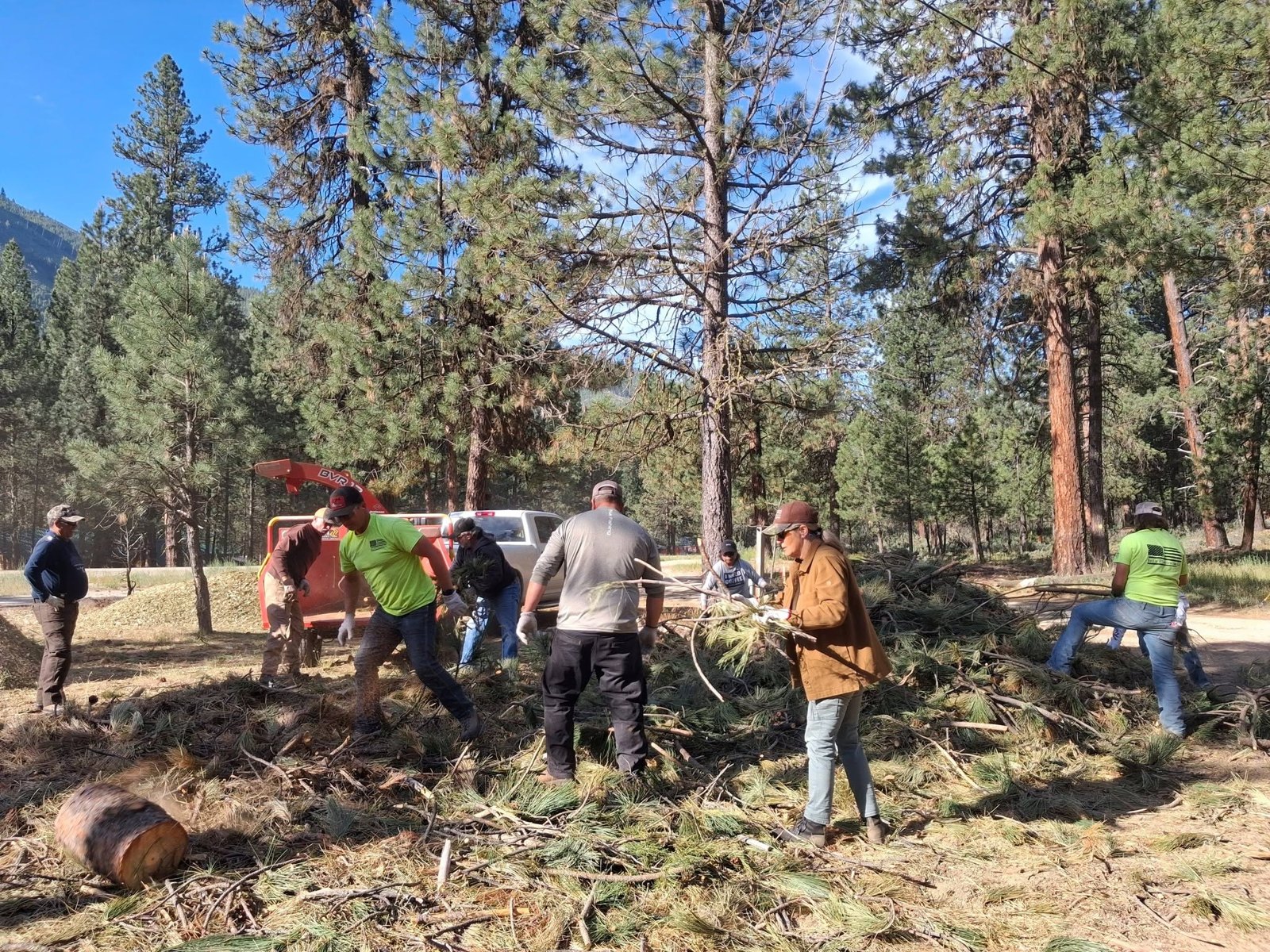 Many hands on a neighborhood action day.