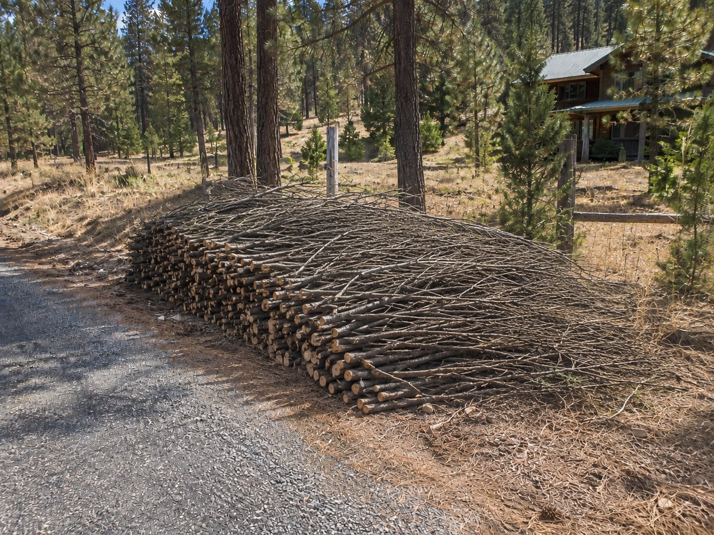 A neatly stacked slash pile at the road edge, cut ends facing the road, ready for the chipper