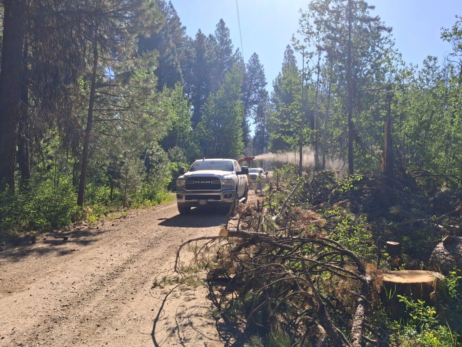 Hauling slash out along the road.