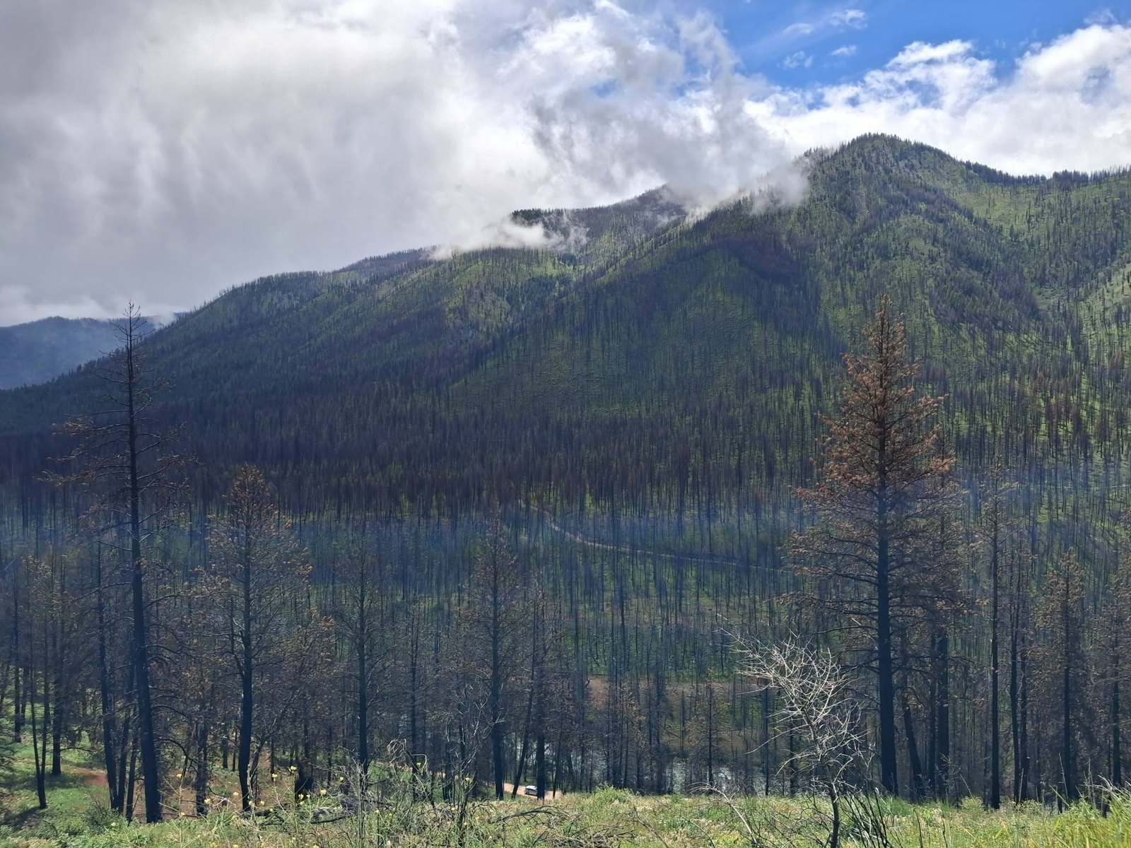 Fire-scarred slopes after the Wapiti Fire.